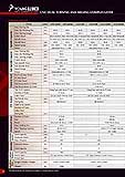 Auto Lates Young Tech page3